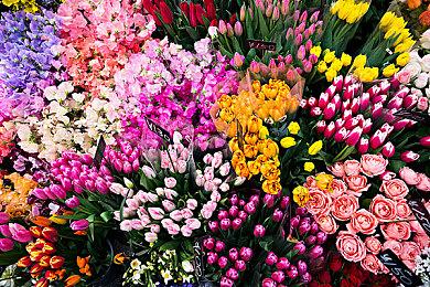 拉瑞安展示《博德之门3》Xbox Series S版优化进展